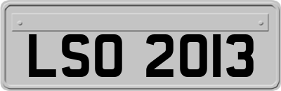 LSO2013
