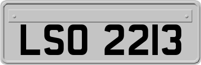 LSO2213
