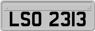 LSO2313