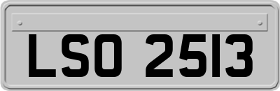 LSO2513