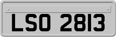 LSO2813