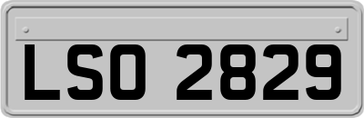 LSO2829