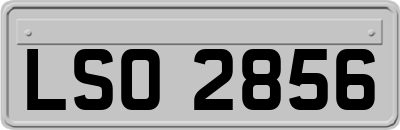 LSO2856