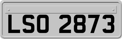 LSO2873