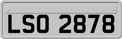 LSO2878