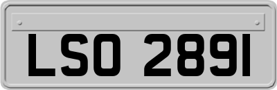 LSO2891