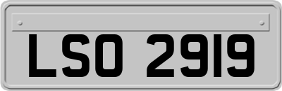 LSO2919