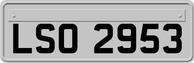 LSO2953