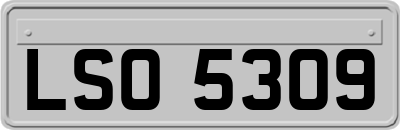 LSO5309