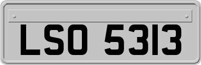 LSO5313