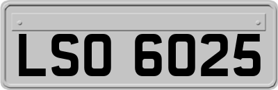 LSO6025