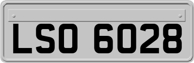 LSO6028