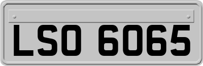 LSO6065