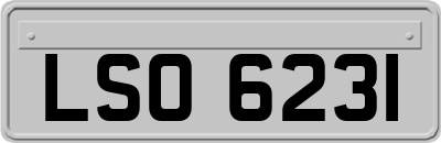 LSO6231