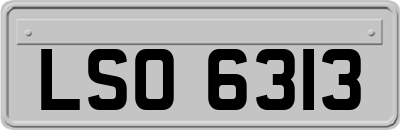LSO6313