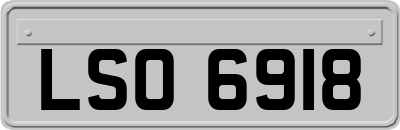LSO6918