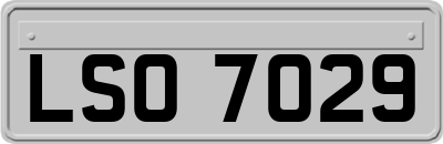 LSO7029