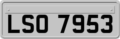LSO7953