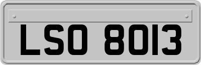 LSO8013