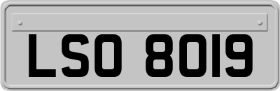 LSO8019