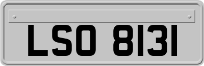 LSO8131