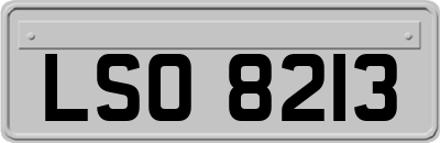 LSO8213