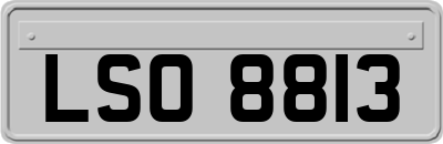 LSO8813