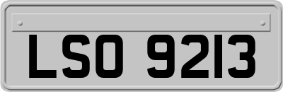 LSO9213