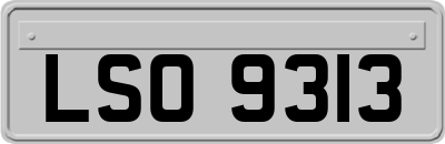 LSO9313