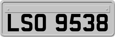 LSO9538