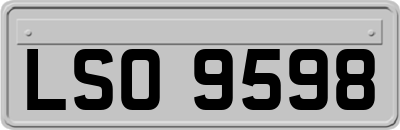 LSO9598