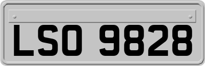 LSO9828