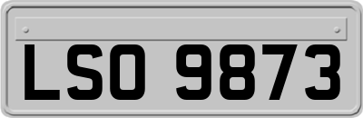 LSO9873