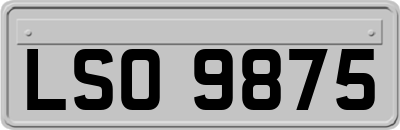 LSO9875