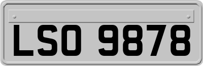 LSO9878