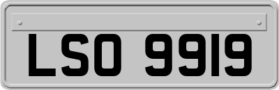 LSO9919