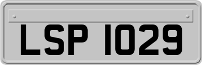 LSP1029