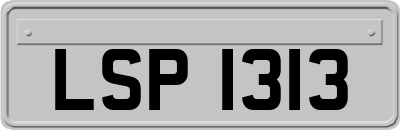 LSP1313