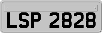 LSP2828