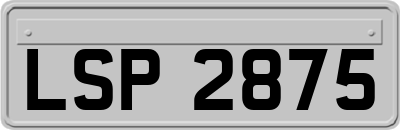 LSP2875