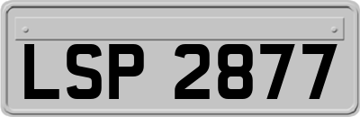LSP2877