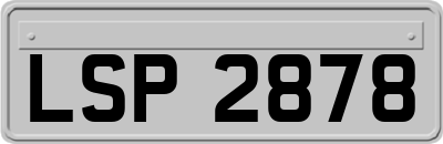 LSP2878