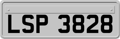 LSP3828