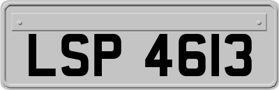 LSP4613