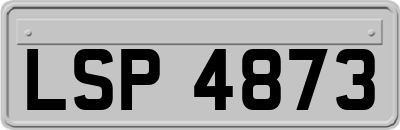 LSP4873