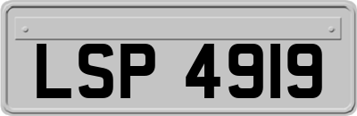 LSP4919