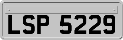 LSP5229