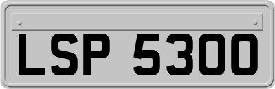 LSP5300
