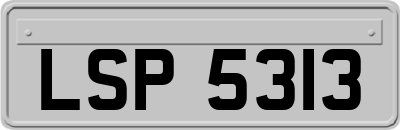 LSP5313