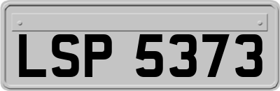 LSP5373